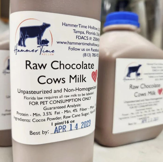 Chocolate Milk- Raw